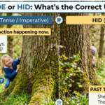 Hide or Hid What’s the Correct Usage